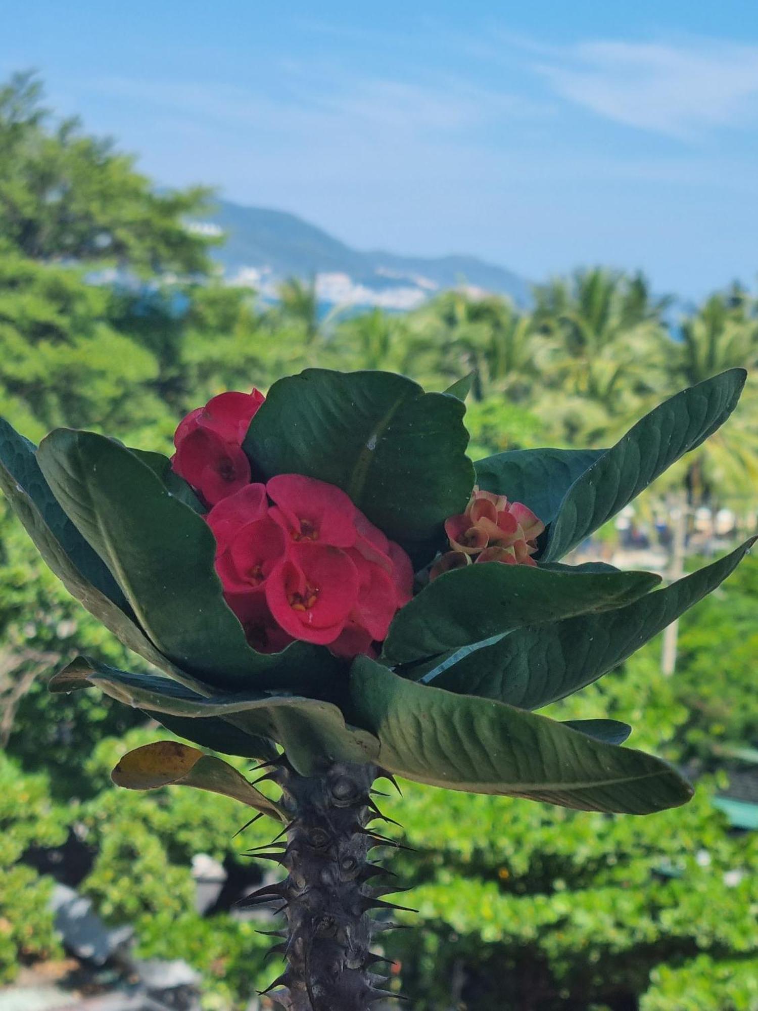 Pho Bien Hotel ญาจาง ภายนอก รูปภาพ